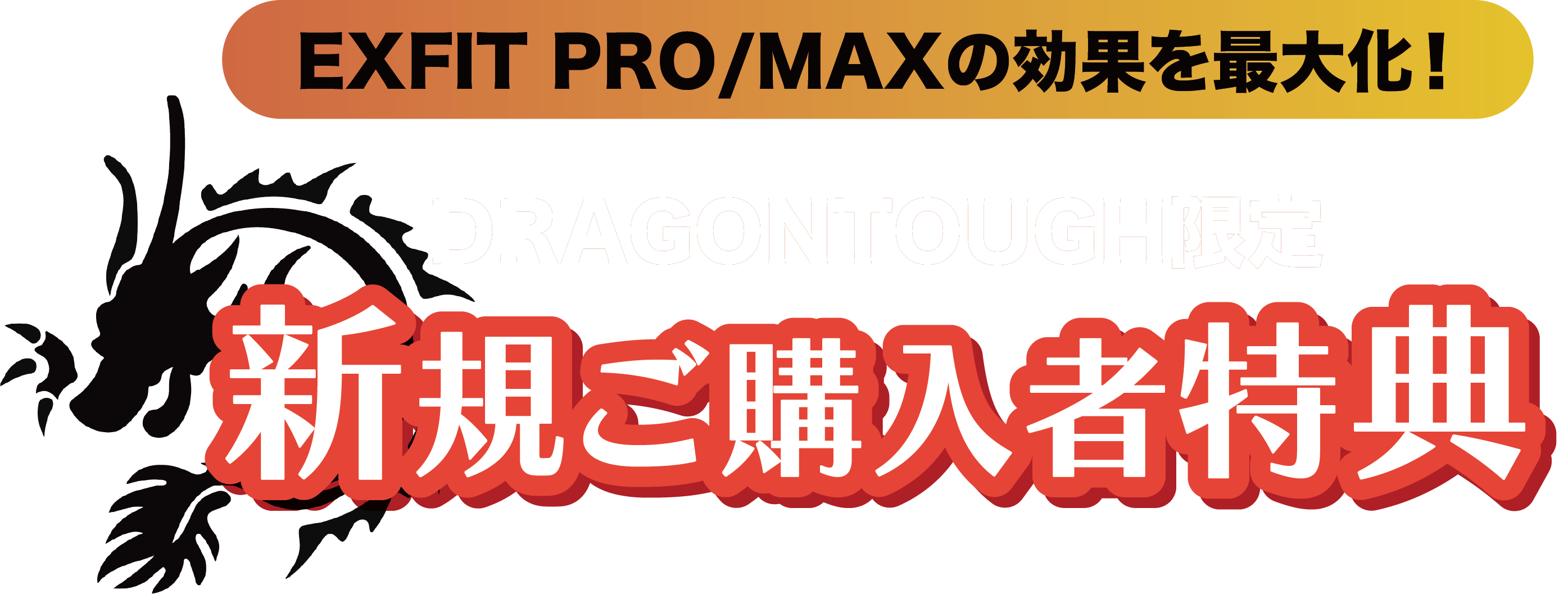 ドラゴンタフ限定 新規ご購入者特典