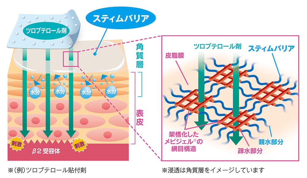 イメージ図：スティムバリアのバリア膜